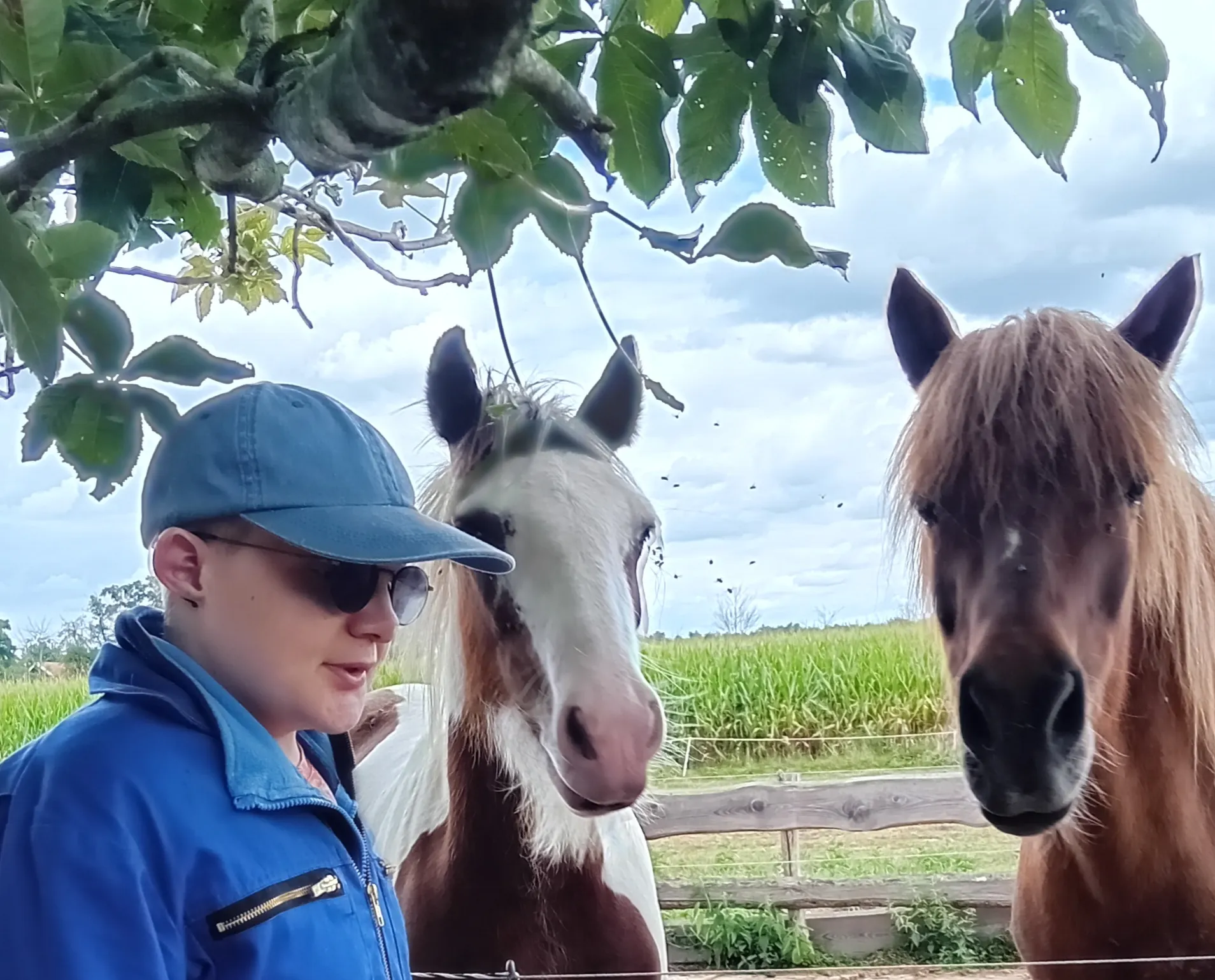 Jouw nieuwe logeerplek. | Vakantieboerderij Junahoeve | Ontspannen tijdens een verblijf: met paarden in de vrije natuur.